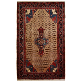 Hamadan Teppich Nr 230